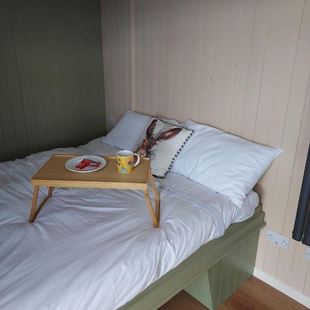 לינה וארוחת בוקר Abbeyshrule Abbeyview House מראה חיצוני תמונה